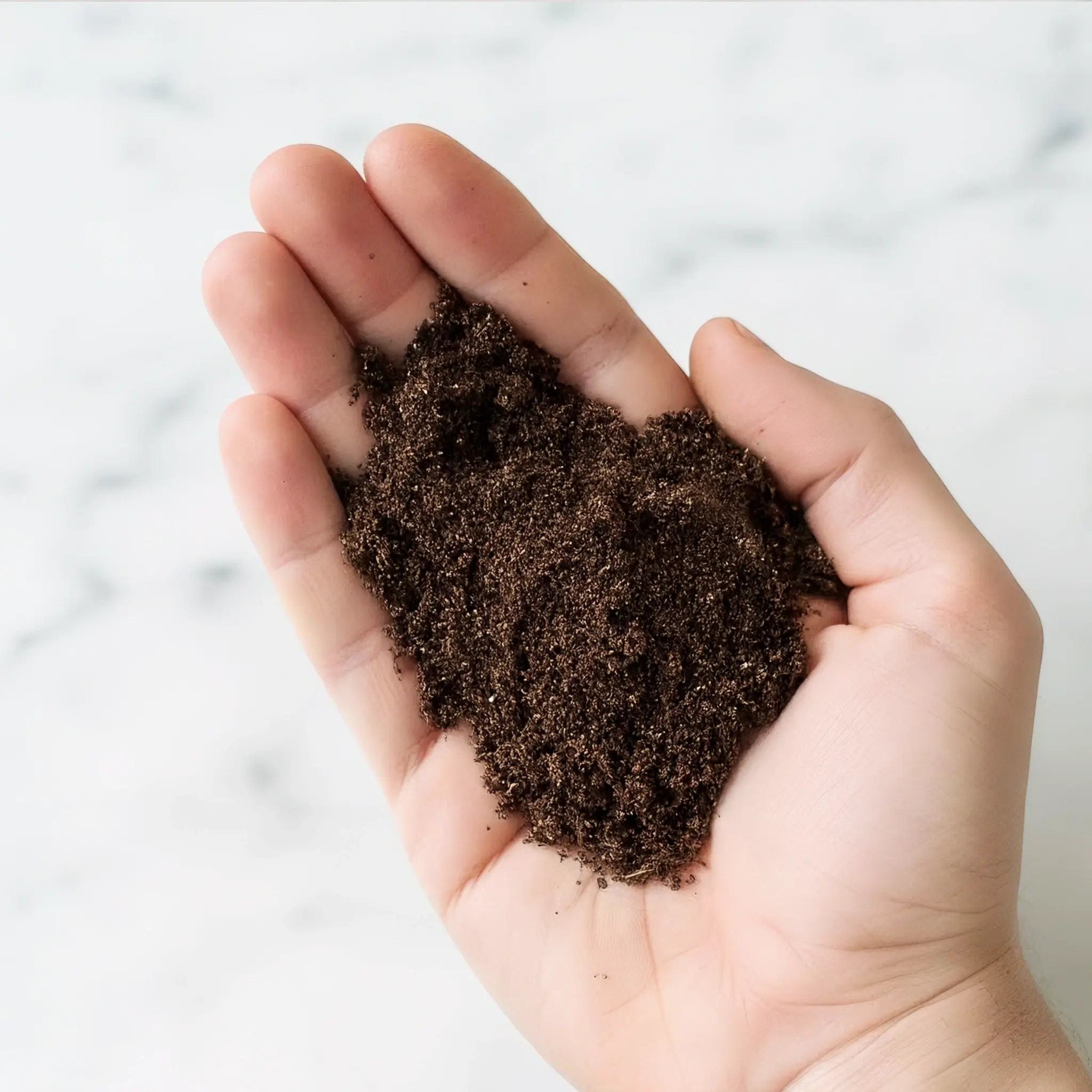 Living compost base