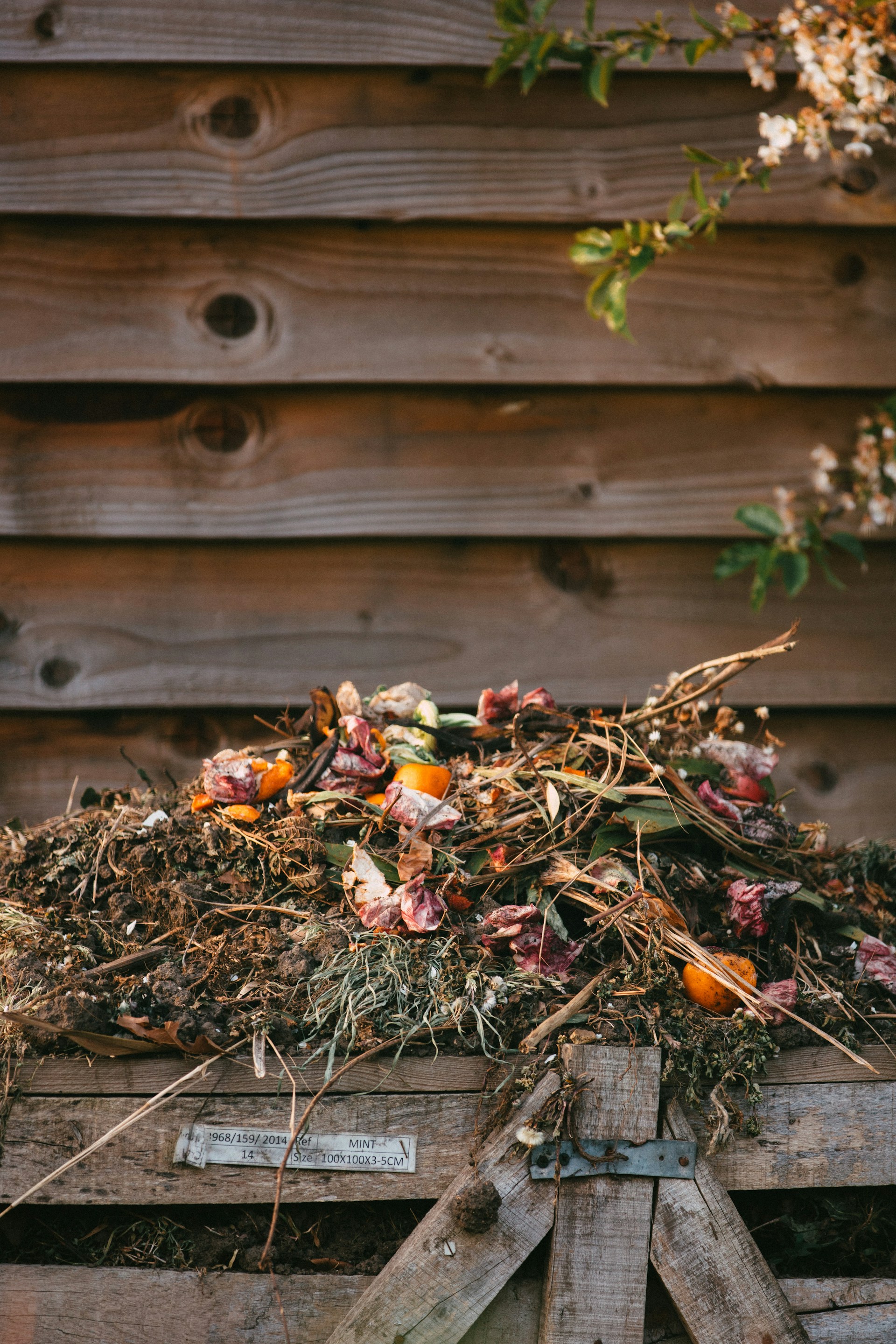 Backyard Compost Pile