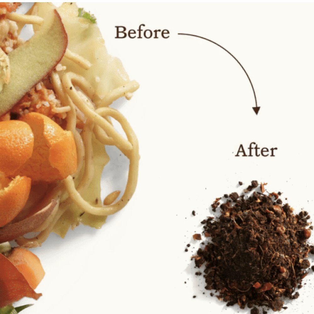 GEME Terra 2 Compost