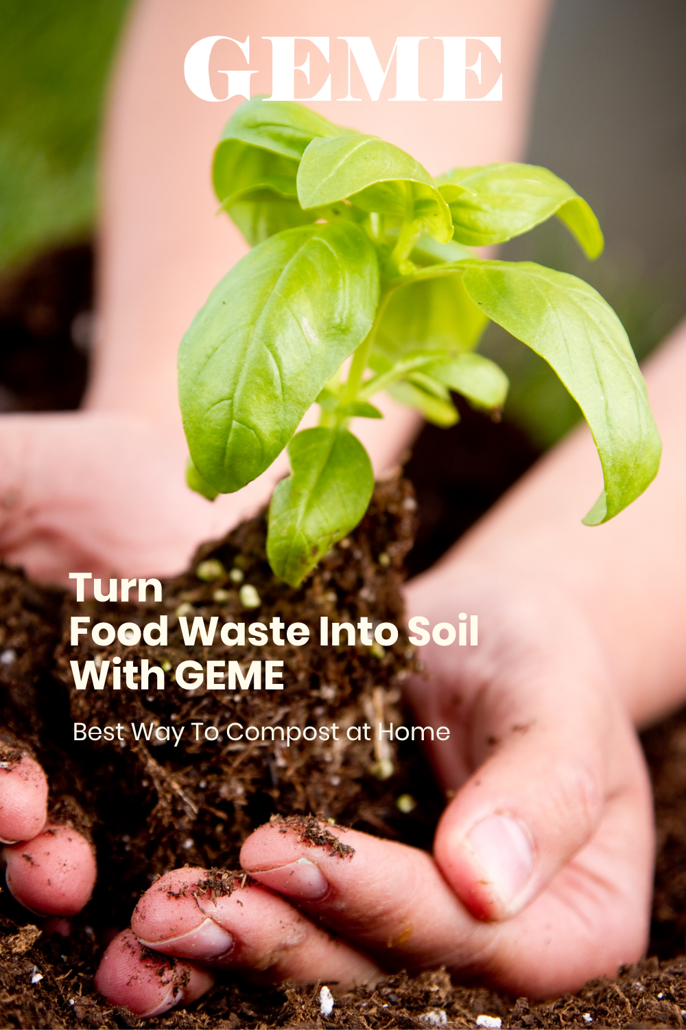 How to compost at home?