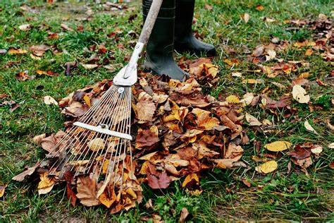 Winter Garden Clean Up