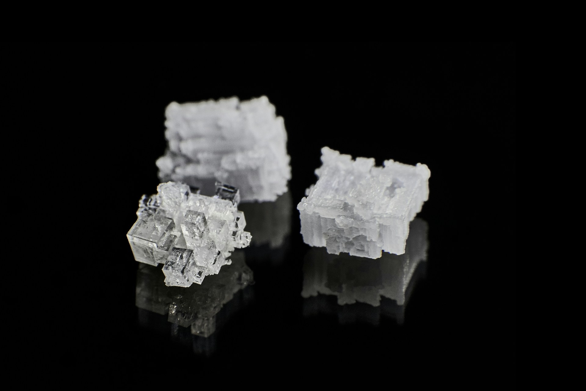 Microbes VS Salt