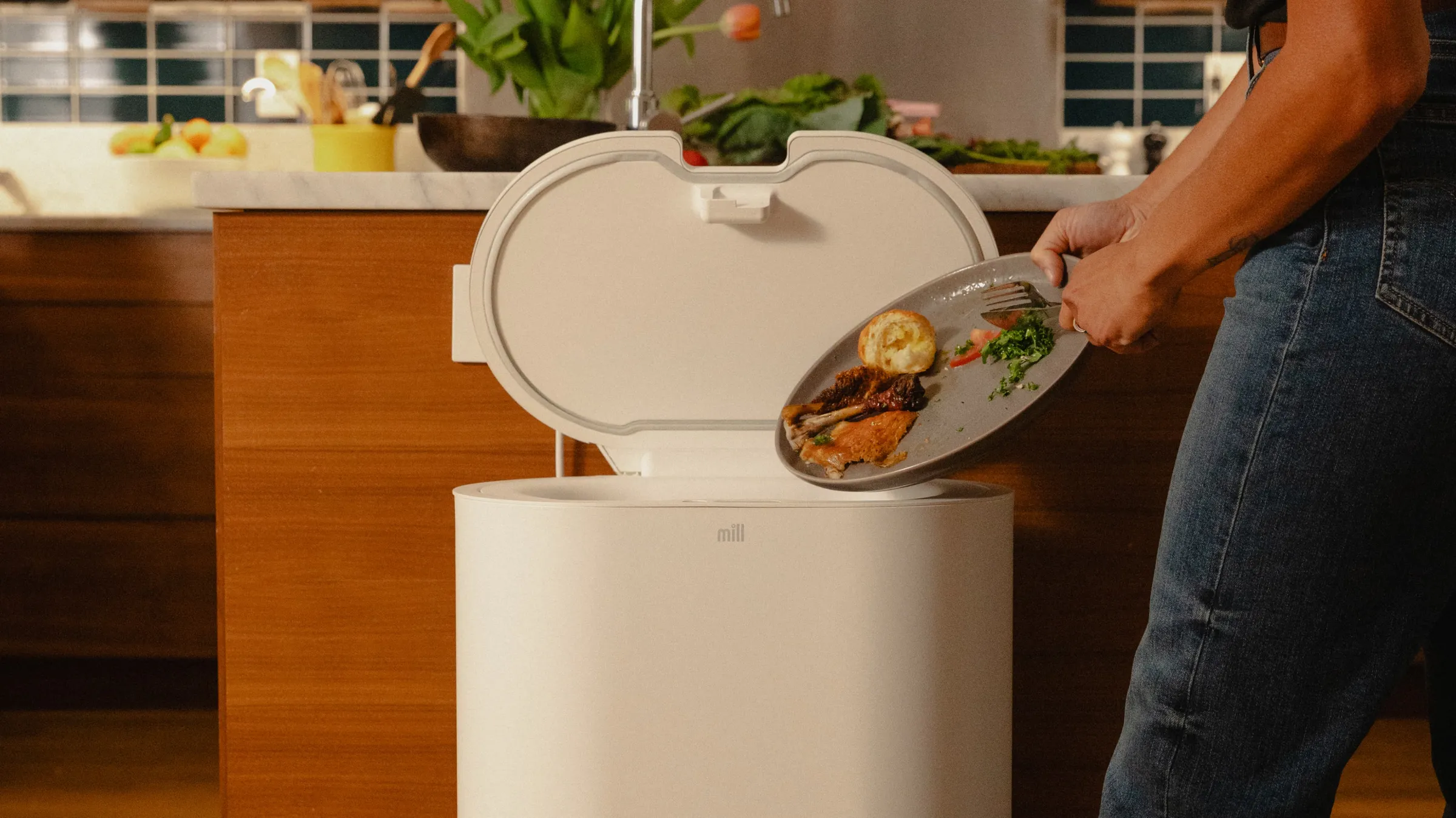 Mill Food Recycler